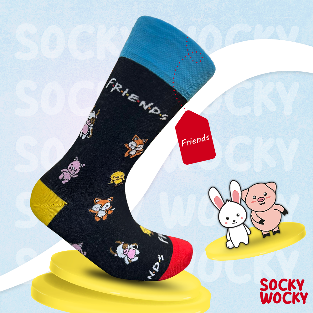 Friends Socks Friendship Collection